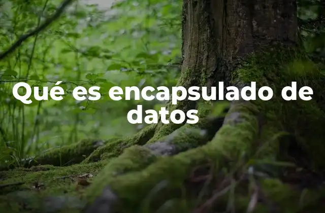 Qué es Encapsulado de Datos