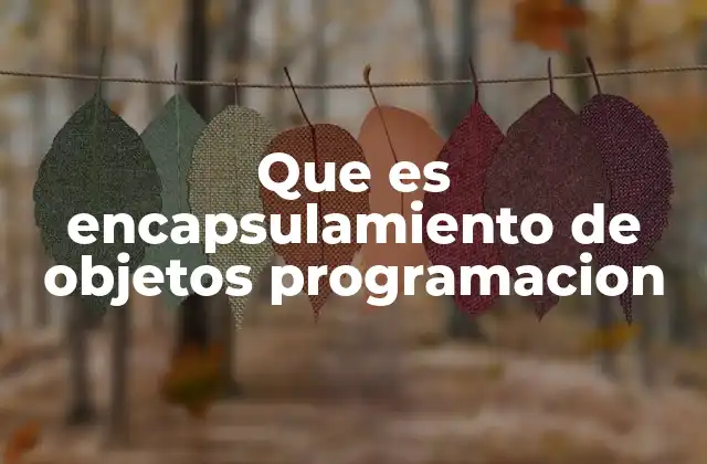 Que es Encapsulamiento de Objetos Programacion