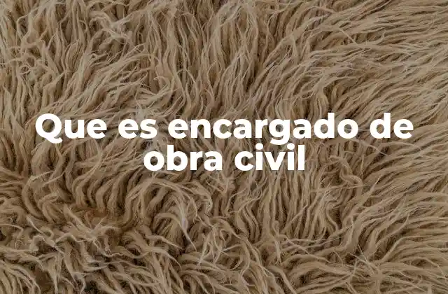 Que es Encargado de Obra Civil