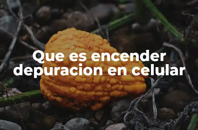 Que es Encender Depuracion en Celular