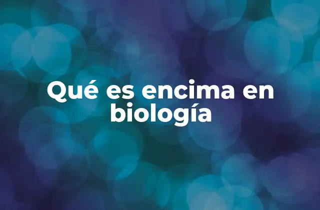 Qué es Encima en Biología 2 El papel de los encimas en los procesos biológicos