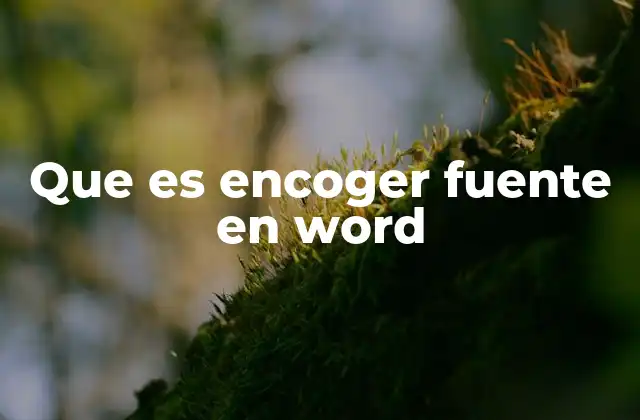 Que es Encoger Fuente en Word