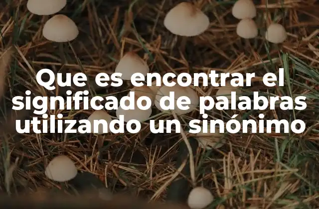 Que es Encontrar el Significado de Palabras Utilizando un Sinónimo