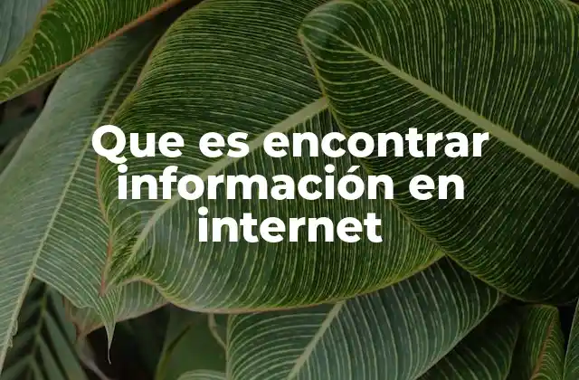 Que es Encontrar Información en Internet