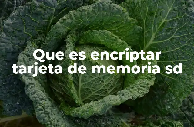 La importancia de proteger los datos en dispositivos de almacenamiento