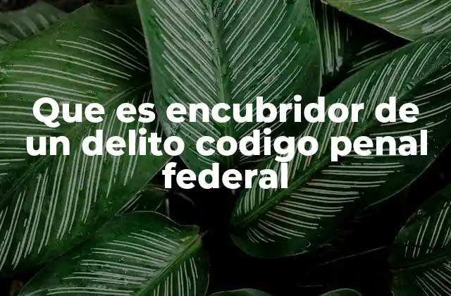 Que es Encubridor de un Delito Codigo Penal Federal