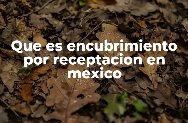Que es Encubrimiento por Receptacion en Mexico