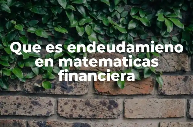 Que es Endeudamieno en Matematicas Financiera