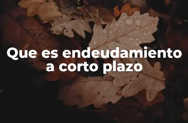 Que es Endeudamiento a Corto Plazo