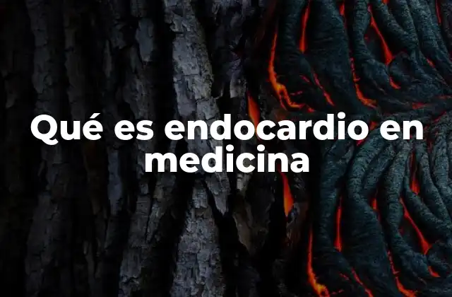 Qué es Endocardio en Medicina