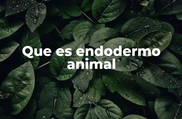 Que es Endodermo Animal