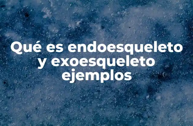 Qué es Endoesqueleto y Exoesqueleto Ejemplos