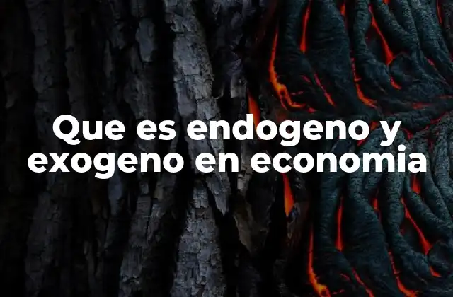 Que es Endogeno y Exogeno en Economia