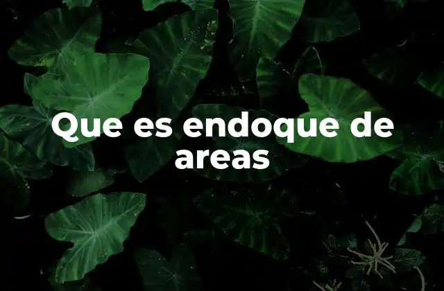 Que es Endoque de Areas