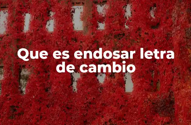Que es Endosar Letra de Cambio