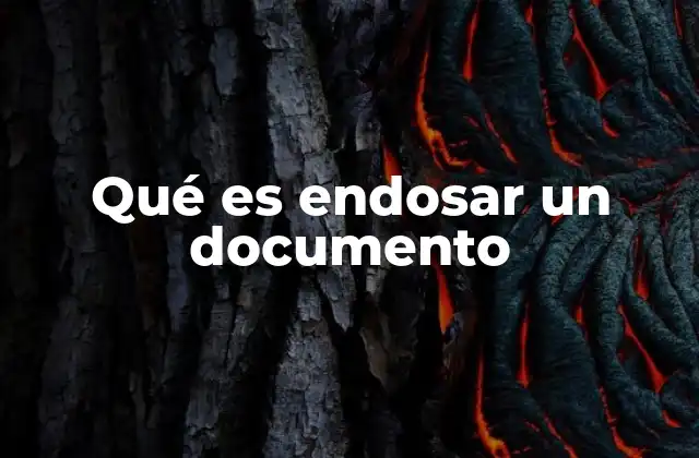 Qué es Endosar un Documento