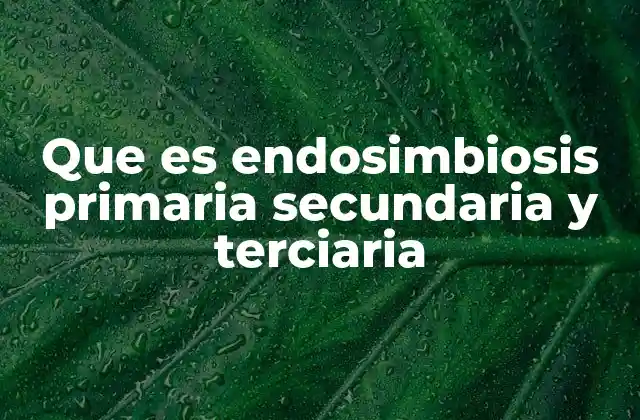 Que es Endosimbiosis Primaria Secundaria y Terciaria