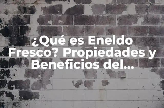 ¿qué es Eneldo Fresco? Propiedades y Beneficios Del Anethum Graveolens