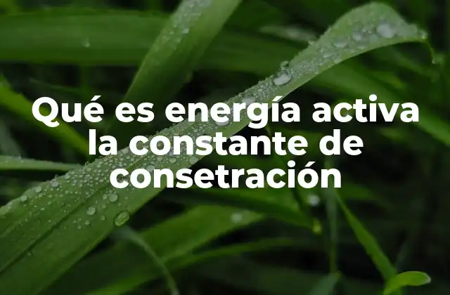Qué es Energía Activa la Constante de Consetración