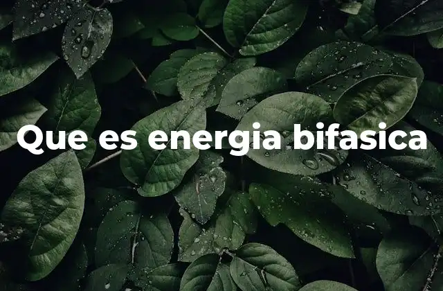Que es Energia Bifasica