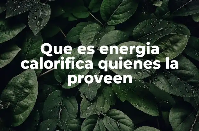 Que es Energia Calorifica Quienes la Proveen