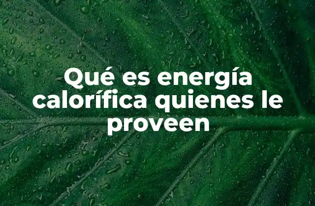 Fuentes y generadores de energía calorífica