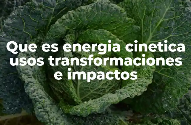 Que es Energia Cinetica Usos Transformaciones e Impactos 2 El papel de la energía cinética en la vida cotidiana