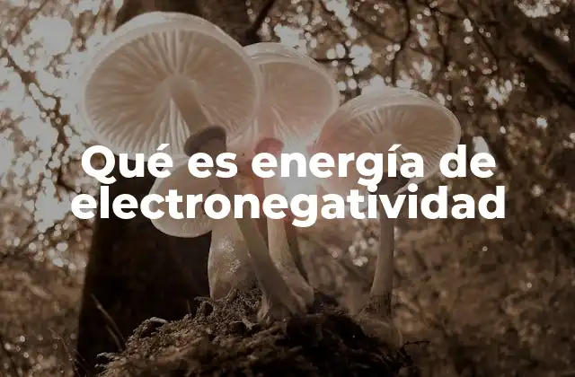 La importancia de la electronegatividad en los enlaces químicos