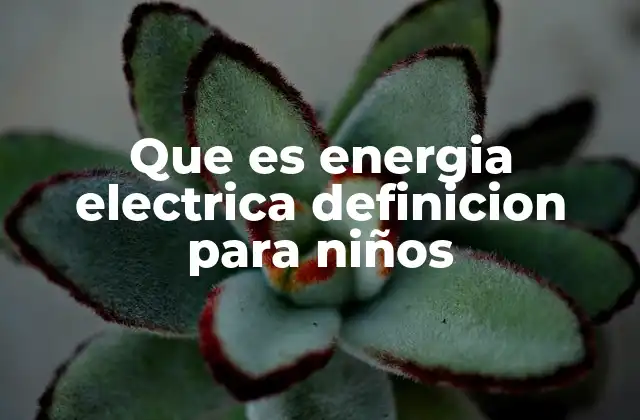 Que es Energia Electrica Definicion para Niños