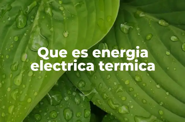 Que es Energia Electrica Termica