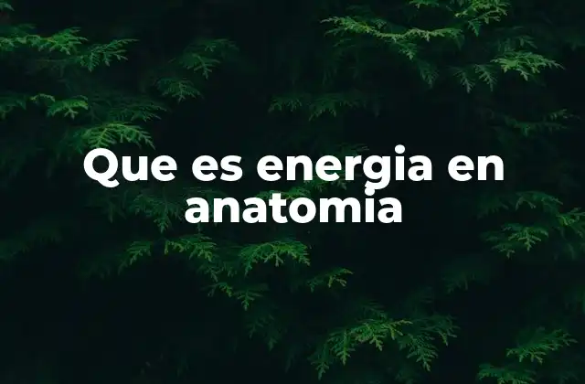 Que es Energia en Anatomia