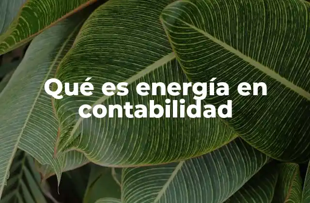 Qué es Energía en Contabilidad