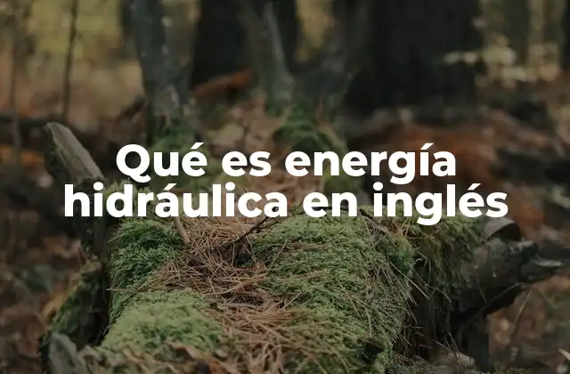 Qué es Energía Hidráulica en Inglés
