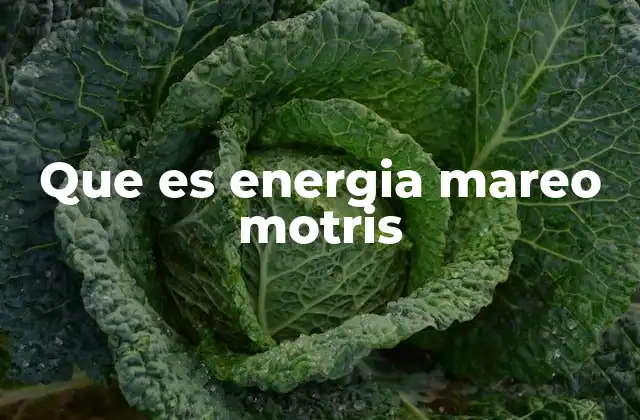 Que es Energia Mareo Motris