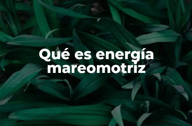 Qué es Energía Mareomotriz 2 La generación de energía a partir de las mareas
