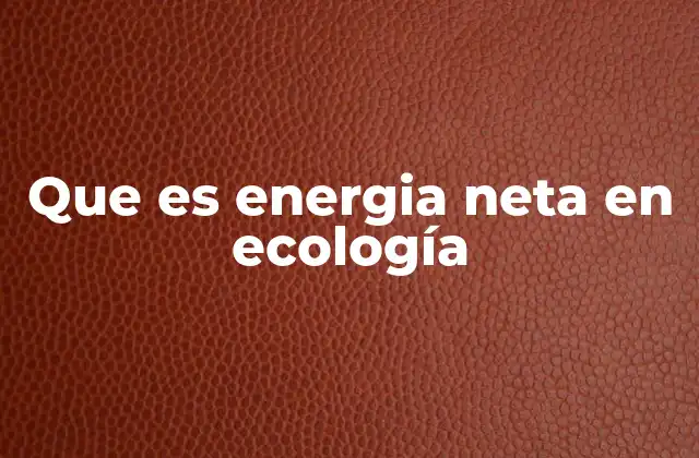 Que es Energia Neta en Ecología