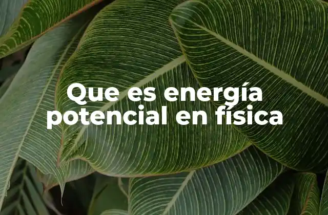 Que es Energía Potencial en Física