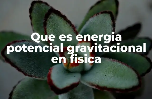 Que es Energia Potencial Gravitacional en Fisica