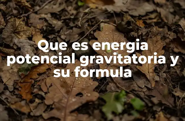 Que es Energia Potencial Gravitatoria y Su Formula