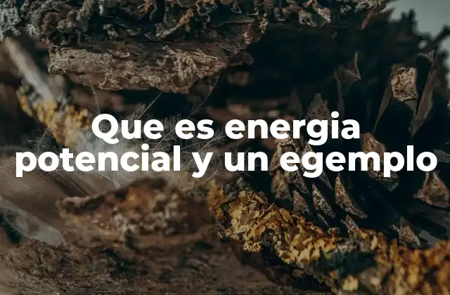 Que es Energia Potencial y un Egemplo