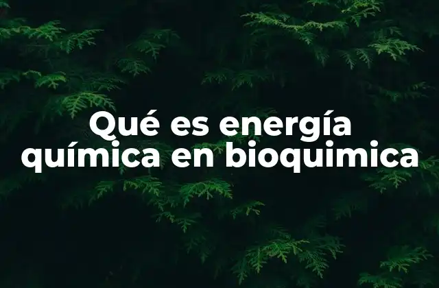 Qué es Energía Química en Bioquimica