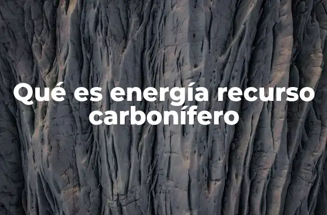 El papel de los recursos carboníferos en la economía global