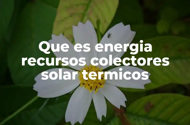 Que es Energia Recursos Colectores Solar Termicos