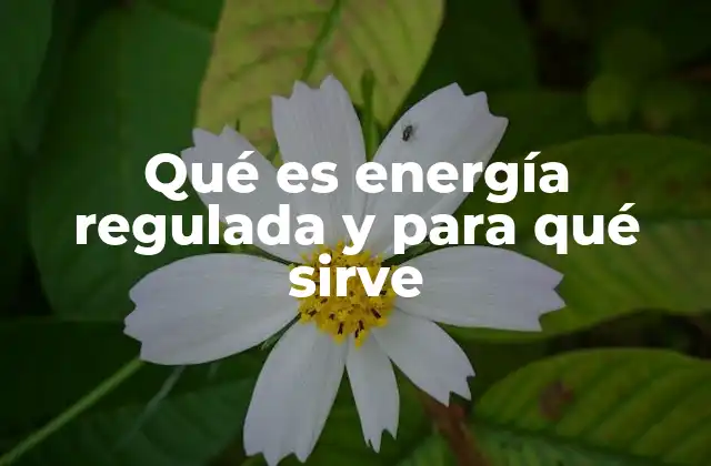 Qué es Energía Regulada y para Qué Sirve