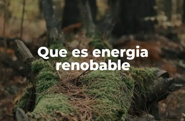 Que es Energia Renobable