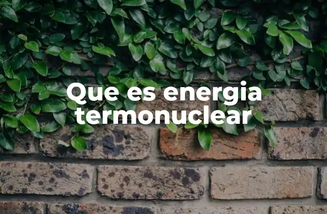 Que es Energia Termonuclear