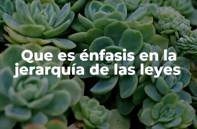 Que es Énfasis en la Jerarquía de las Leyes
