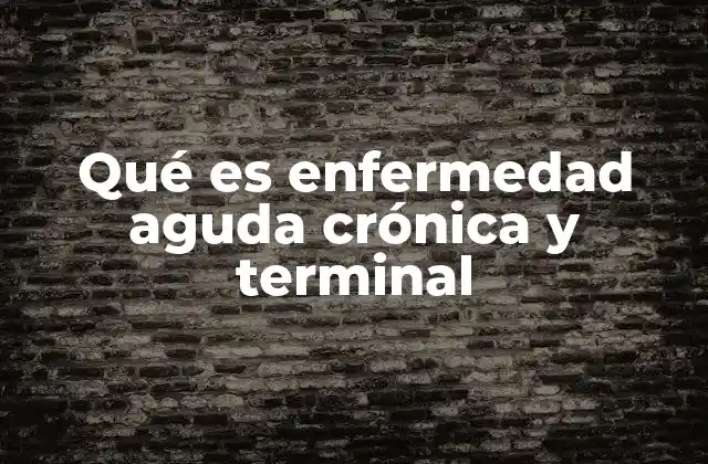 Qué es Enfermedad Aguda Crónica y Terminal