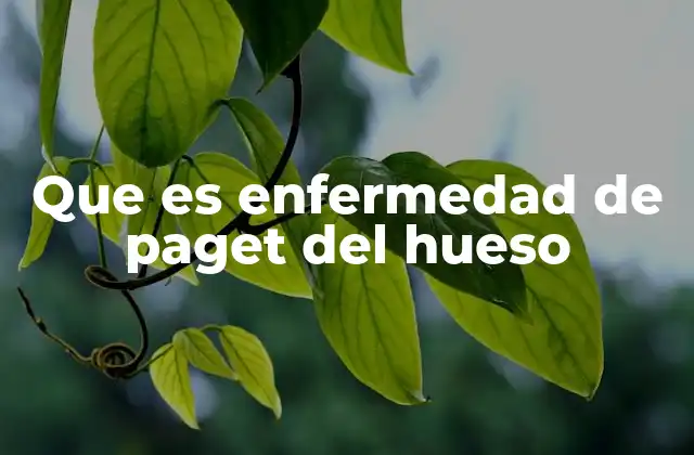 Cómo afecta la enfermedad de Paget al tejido óseo