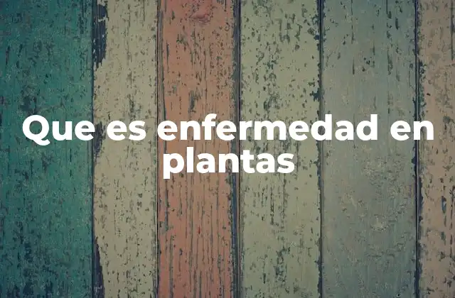 Que es Enfermedad en Plantas